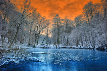 Spectacular orange sunset over winter forest
