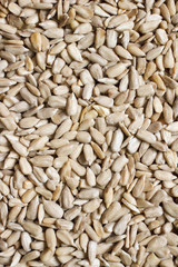 Raw sunflower seeds texture