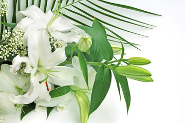 White lily flowers