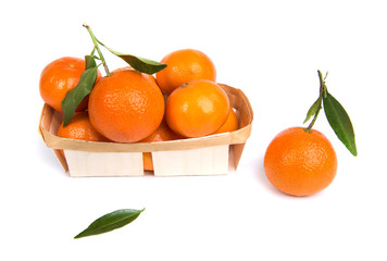 ripe mandarin