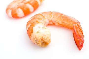 Shrimp