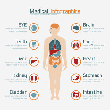 Medical infographic