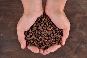 Coffee beans in the hands