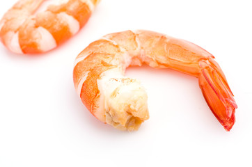 Shrimp