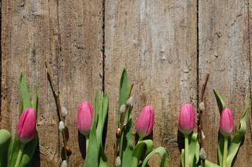 Holzuntergrund - Tulpen mit Weidenkätzchen