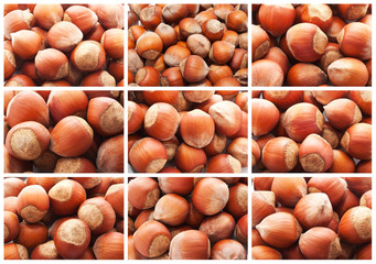 Hazelnuts or filbert nuts