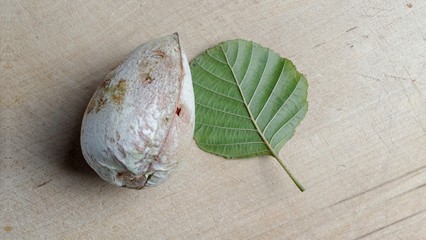 Avocado