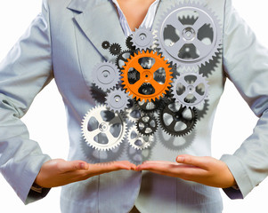 Business organization