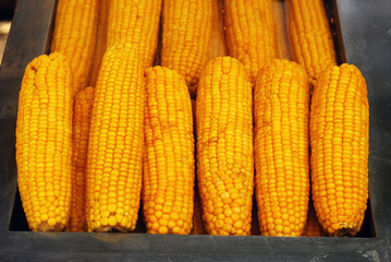 boiled corn