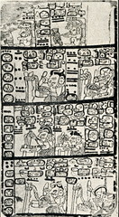 Mayan script