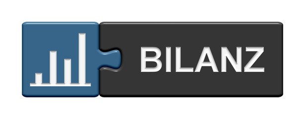 Puzzle-Button blau grau: Bilanz