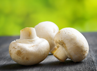 Fresh champignons on black wooden board.
