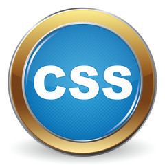 CSS ICON