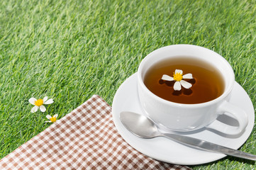 Сup of chamomile tea on green grass