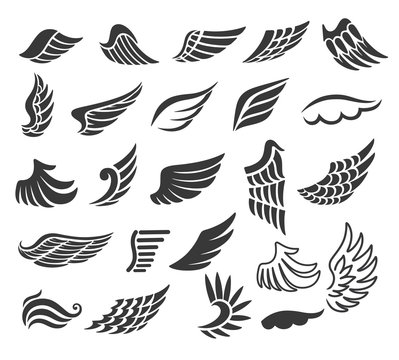 Wings. Set of  design elements.