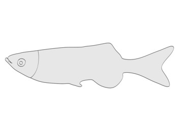 cartoon image of aquarium fish