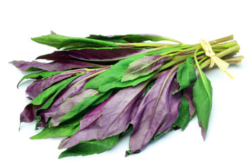 Okinawan spinach © Reika