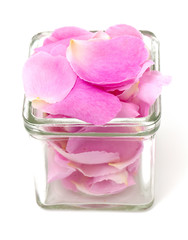 pink rose petals