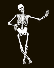 Funny vector skeleton isolated over black. Halloween design