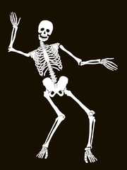 Funny vector skeleton isolated over black. Halloween design