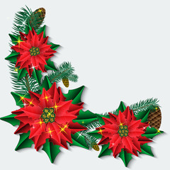 Christmas background with poinsettia flowers and fir branches