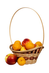 nectarines and apricots in basket