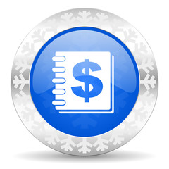 money christmas icon