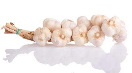 Garlic isolated on white background