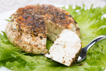 spicy baked homemade cheese, horizontal