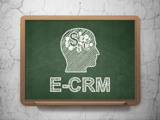 Business concept: Head With Finance Symbol and E-CRM