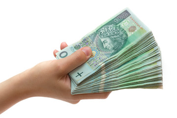 stack of polish banknotes in hand