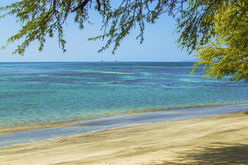 Beach. Ocean. Maui.