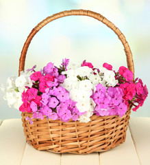 Beautiful bouquet of phlox in wicker basket