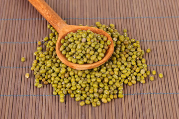 Mung beans over wooden spoon on color background