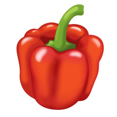 The Cartoon vegetable- illustration for the children