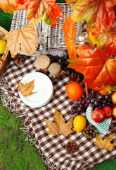Outdoors picnic close up