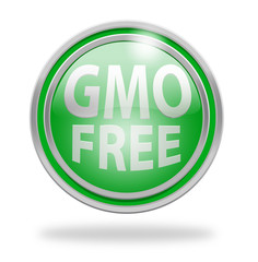 GMO
