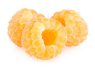 yellow raspberries
