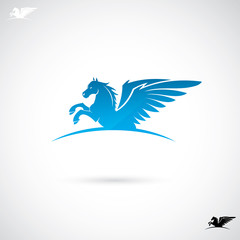 Pegasus sign