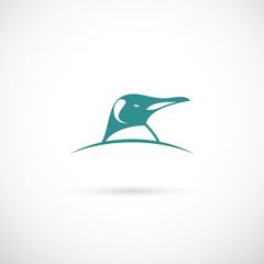 Penguin sign