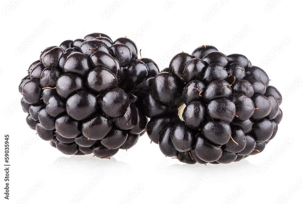 Wall mural blackberries