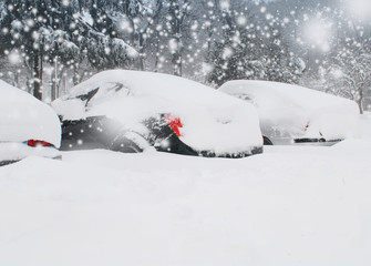 cars on the parking under snow
