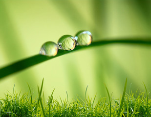 morning nature background with beautiful drop