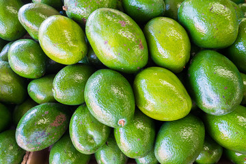 Avocado