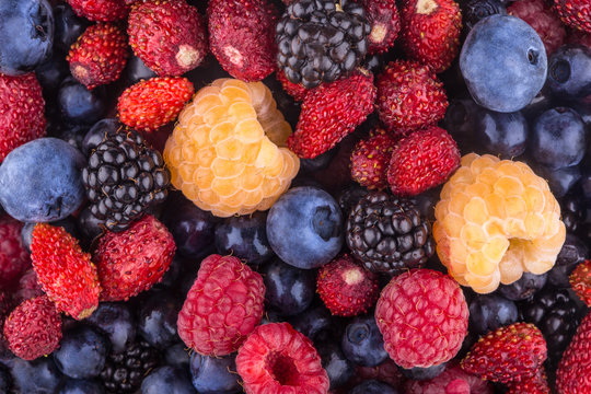 berry background