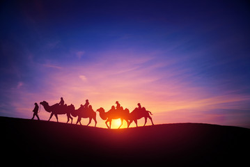camel caravans traveling in the desert in sunset