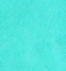 green-blue leather texture