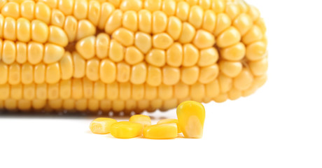 Tasty yellow ear of corn