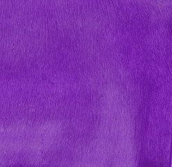 fur texture painted violet