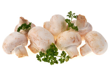 Champignons de Paris et brins de persil